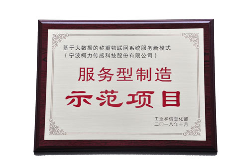 基于大數(shù)據(jù)的稱重物聯(lián)網(wǎng)系統(tǒng)服務(wù)新模式，榮獲工信部“服務(wù)型制造示范項目”